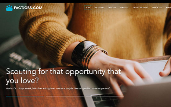 <span>Website</span> Factjobs
